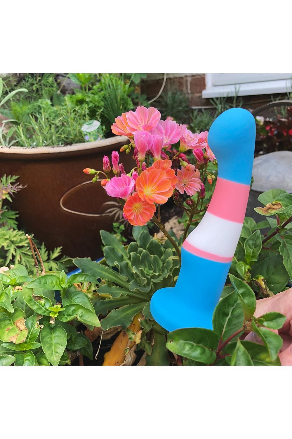 BLUSH DILDO AVANT P2 TRUE BLUE TRANSGENDER PRIDE